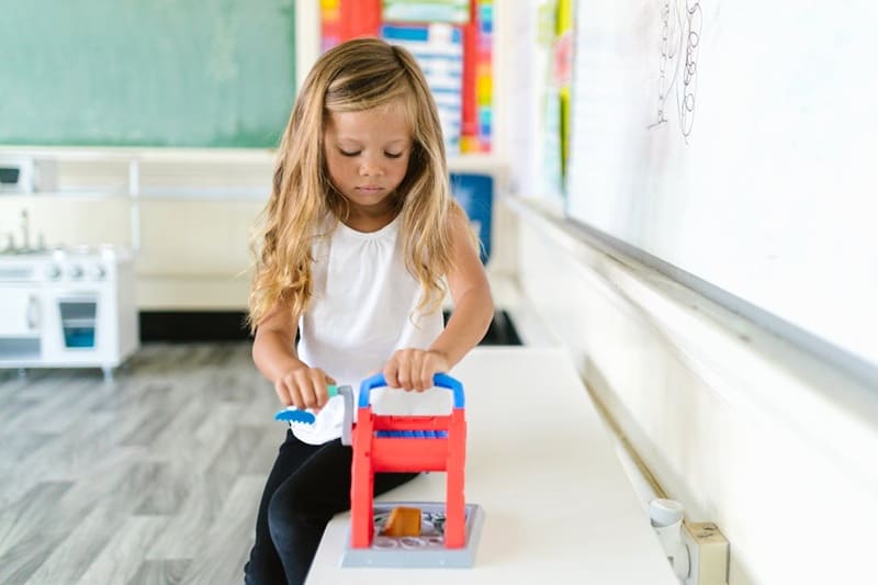 neurociencia educativa