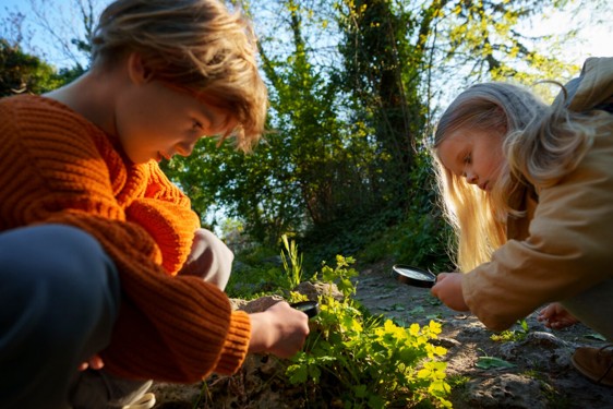 Educación ambiental desde temprana edad